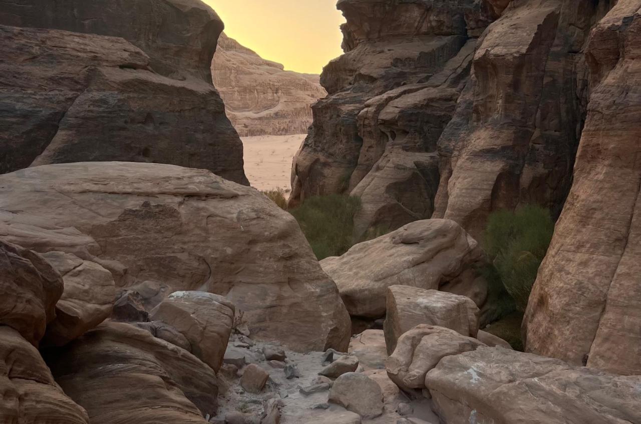 Wild Of Wadi Rum Exteriér fotografie