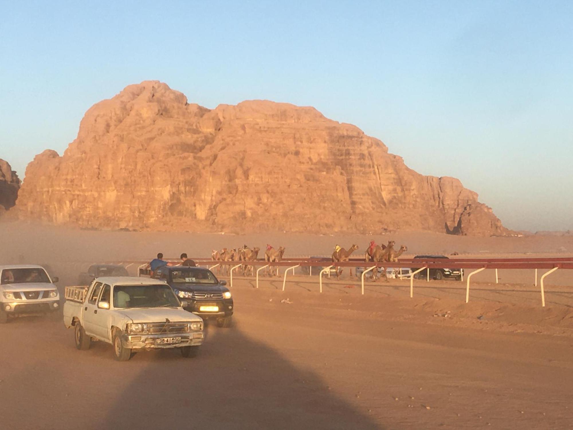 Wild Of Wadi Rum Exteriér fotografie