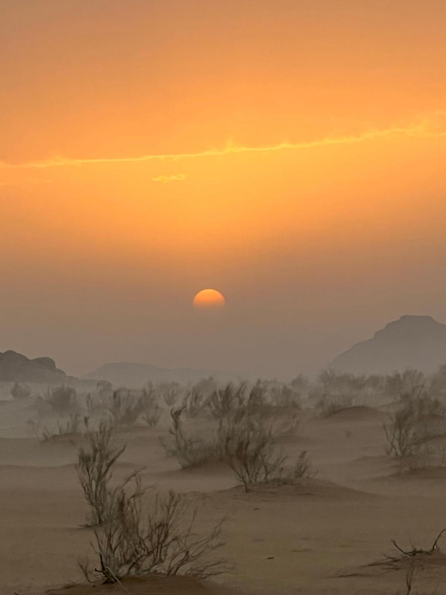 Wild Of Wadi Rum Exteriér fotografie